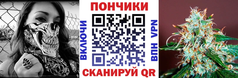 Купить  Белокуриха  Бошки Шишки Amnesia 